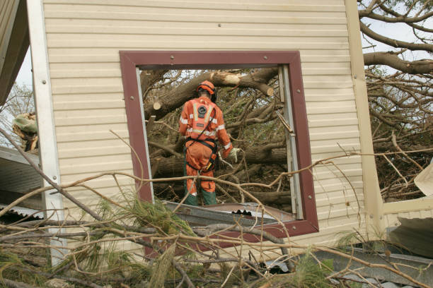 How Our Tree Care Process Works  in  Butler, WI